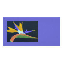 Bird Of Paradise Photo Card