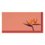 Bird of Paradise Custom Photo Card
