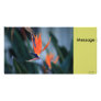 Bird of Paradise Picture Card