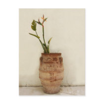 Bird of Paradise Plant Postcard postcards