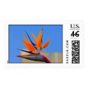 bird of paradise postage
