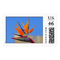 bird of paradise postage