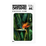 Bird of paradise postage stamps
