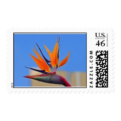 bird-of-paradise stamp by ashible