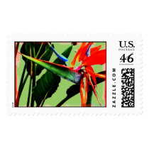 Bird of Paradise postage by captainjoekickass Bird of Paradise postage