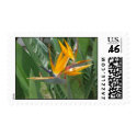 Bird of Paradise postage by Blanche4 Bird of Paradise postage