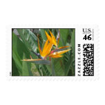 Bird of Paradise Postage