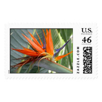 Bird of Paradise postage by liqdslvr Bird of Paradise postage