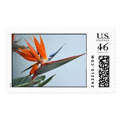 Bird of Paradise Postage Stamp