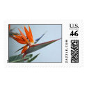 Bird of Paradise Postage Stamp by ecastill0 Bird of Paradise Postage Stamp