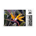 Bird of Paradise Postage Stamp