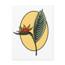 Bird of Paradise postcards by CroughsCorners Bird of Paradise postcards