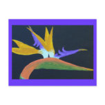Bird Of Paradise Postcard