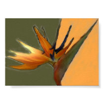 Bird of Paradise Print