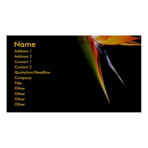 Bird-of-Paradise Profile Card Business Card (front side)