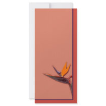 Bird of Paradise Personalized Rack Card