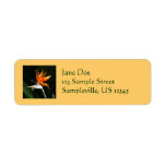 Bird of Paradise Return Address Label