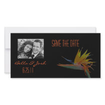 Bird of Paradise Save the Date Photo Card