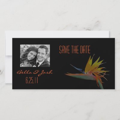 Bird of Paradise Save the Date Photo Card