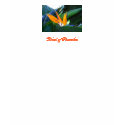 Bird of Paradise - shirt
