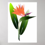 Bird of Paradise Silk Screen Poster