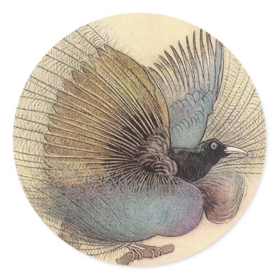 Bird of Paradise Sm Sticker by CollageMontage