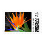 Bird of Paradise Stamp