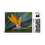 Bird of Paradise Stamp