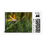Bird of Paradise Stamp