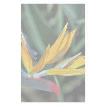 Bird of paradise custom stationery