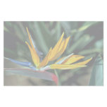 Bird of paradise stationery paper