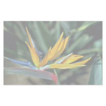 Bird of paradise stationery paper