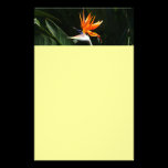Bird of Paradise Stationery