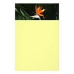 Bird of Paradise Stationery