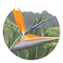 Bird of Paradise Sticker by dlgray Bird of Paradise Sticker
