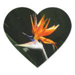 Bird of Paradise Sticker