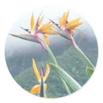 Bird of Paradise stickers by marcya7 Bird of Paradise stickers
