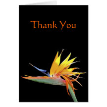 Bird of Paradise Thank You Note Greeting Card