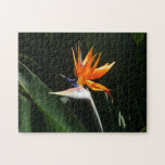 Bird of Paradise Tropical Floral Puzzle