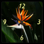 Bird of Paradise Tropical Floral Wall Clock