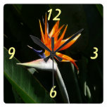 Bird of Paradise Tropical Floral Wall Clock
