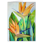 Bird of Paradise, Tropical flower, Card