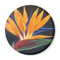 Bird Of Paradise Tropical Flower Painting - Multi Refrigerator Magnets