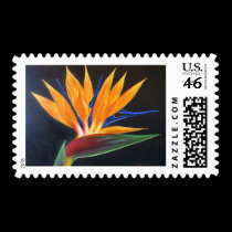 Bird Of Paradise Tropical Flower Painting - Multi stamps