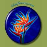 Bird of Paradise