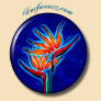 Bird of Paradise