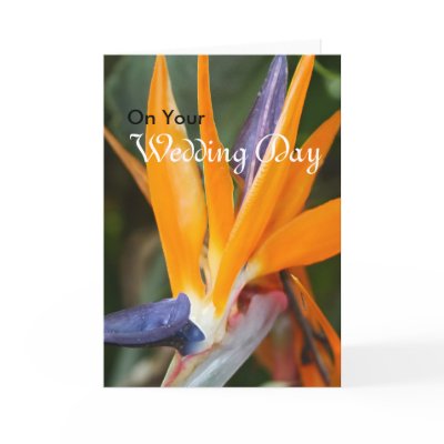 Bird of Paradise Wedding Greeting Card
