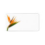 Bird of Paradise Wedding Labels