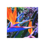 Bird-of-Paradise Wrapped Canvas Gallery Wrap Canvas