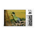 Bird of Pardise postage by kristenmpratt Bird of Pardise postage